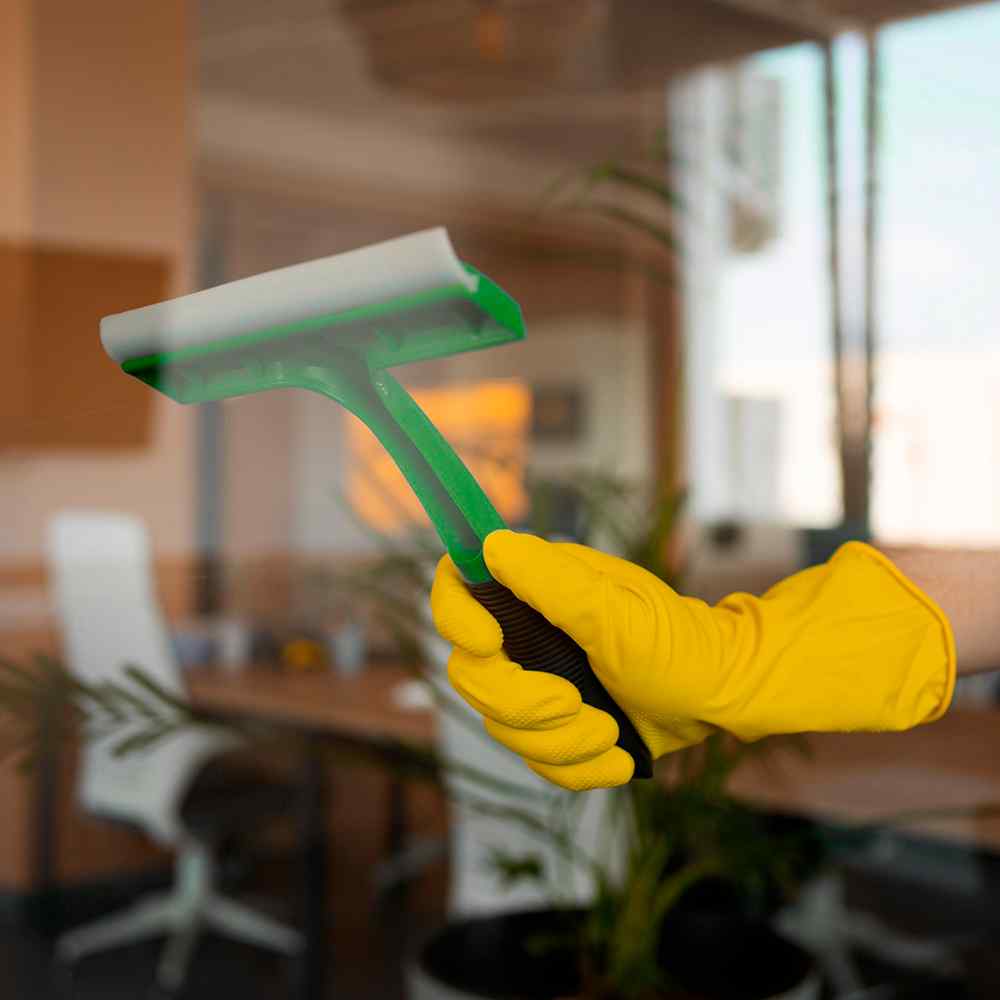 https://mastercarpetcleaning.ca/wp-content/uploads/2025/07/image_service_02.jpg