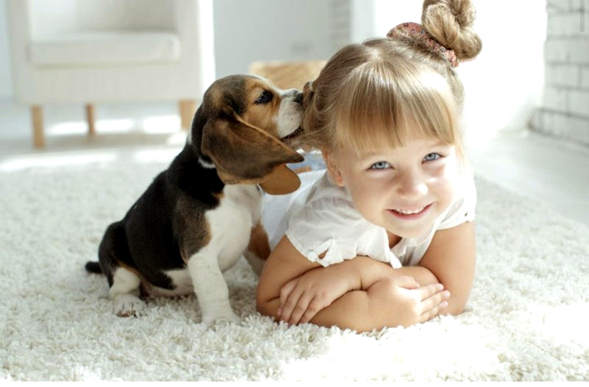 Furniture stain protection for family and pets
