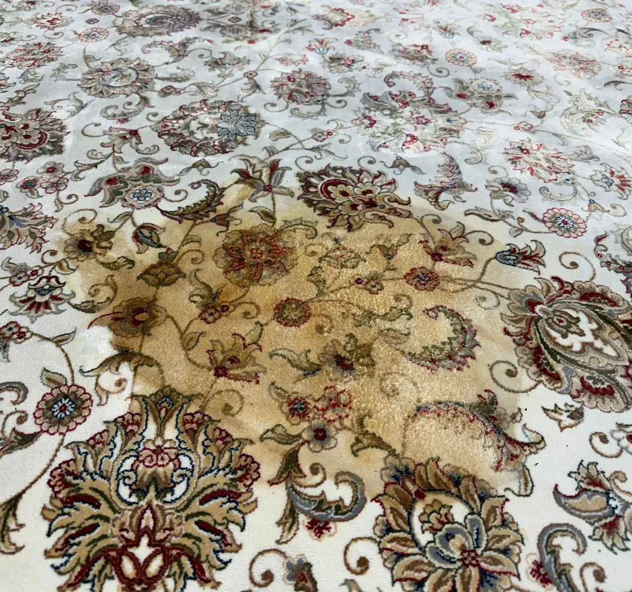 mcc portfolio image 14 https://mastercarpetcleaning.ca/wp-content/uploads/2026/09/mcc-portfolio-image-14-1280x1200.webp